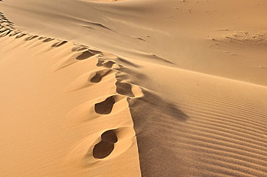 脚印,沙滩,沙丘,沙漠,却比沙丘,摩洛哥,非洲