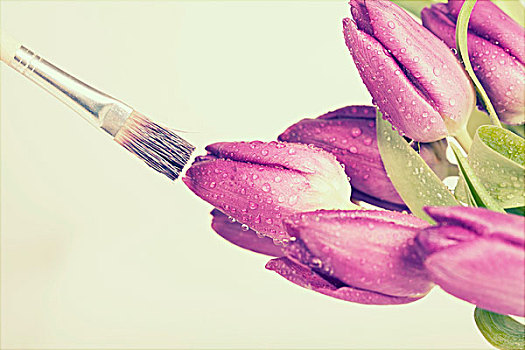 绘画,紫色,郁金香