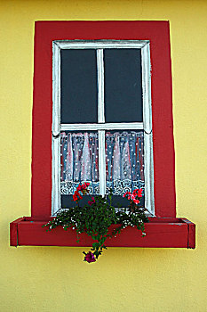 窗,红色,黄色,墙,花,爱尔兰