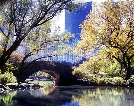 秋天,水塘,中央公园,曼哈顿,纽约,美国