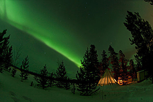 光亮,照亮,圆锥形帐篷,北方,极光,北极光,绿色,靠近,育空地区,加拿大