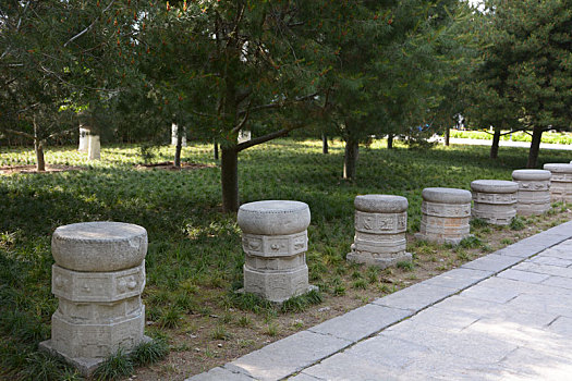 小雁塔,荐福寺,西安博物院