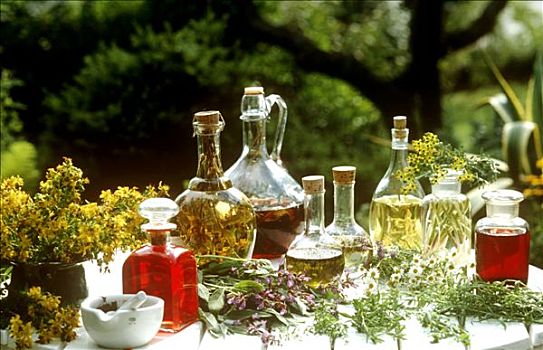 香草油,醋,花园,草药
