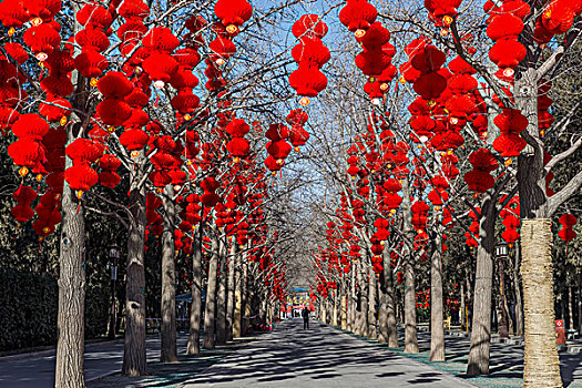 喜庆热闹的中国节日大红灯笼挂挂饰