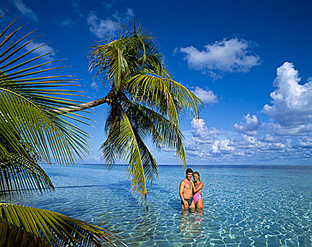 伴侣,放松,阿里环礁,马尔代夫,印度洋