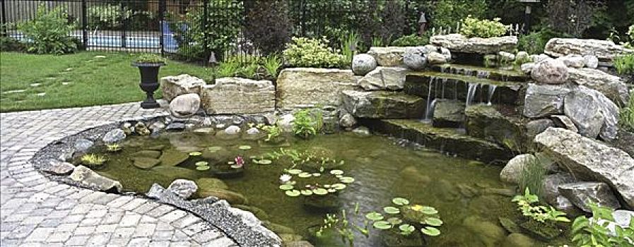 水塘,花园