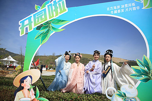 山东省日照市,海岸绿茶春季开园节开幕,文化展演让人大饱眼福