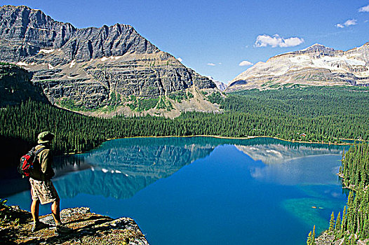 远足者,欧哈拉湖,幽鹤国家公园,不列颠哥伦比亚省,加拿大