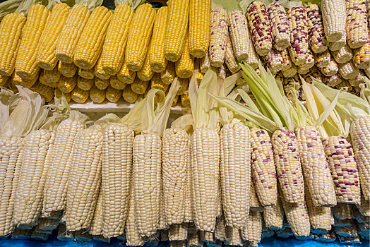 玉米,蔬菜,菜市场,生鲜,有机蔬菜