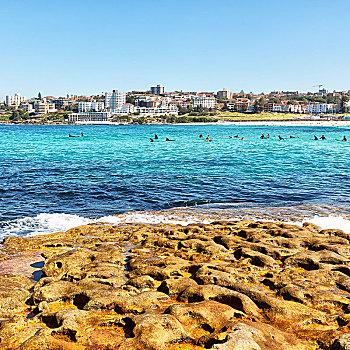 澳大利亚,悉尼,湾,石头,海洋,靠近,邦迪海滩