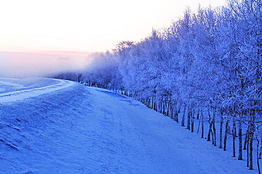 钏路,堤岸,白霜,北海道