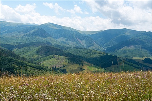 夏天,风景,乌克兰,喀尔巴阡山脉