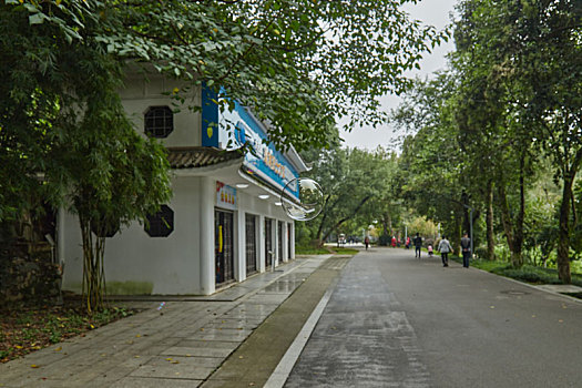 长沙烈士公园夏季雨后风景