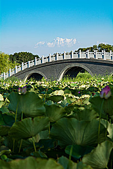 新疆五家渠青湖御园景区