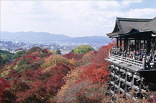 秋叶,清水寺,京都,本州,日本