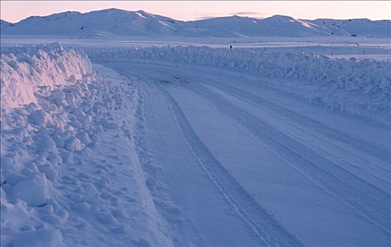 轮胎印,积雪,风景,爱达荷,美国