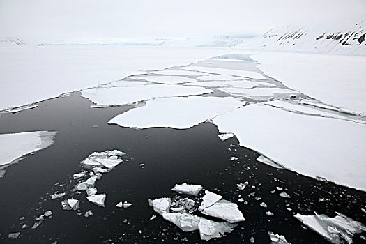浮冰,斯瓦尔巴群岛,挪威