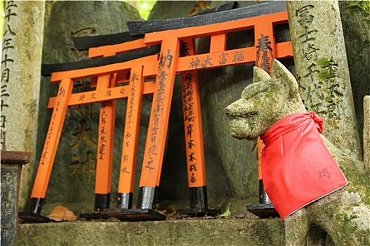 狐狸,伏见,稻成,神祠,京都,日本