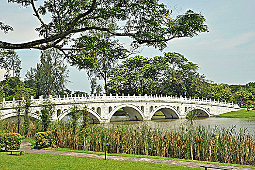 步行桥,公园,白色,彩虹桥,中式花园,东方,西部,区域,新加坡
