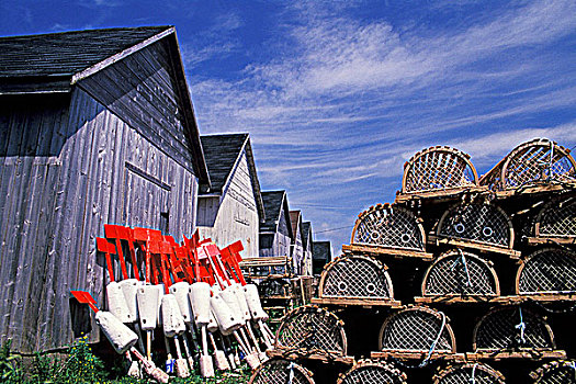 捕虾器,浮漂,爱德华王子岛,加拿大