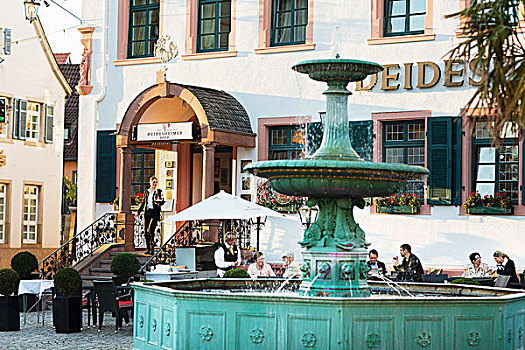 喷泉,酒店,普拉蒂纳特,区域,德国