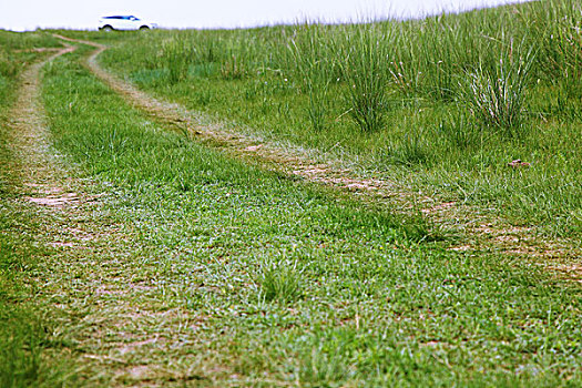 两条车辙延伸的穿过草原