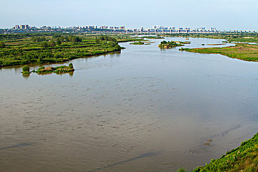 渭河湿地