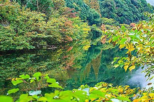 映天池,山水,水池,树林,亭,索桥,生态