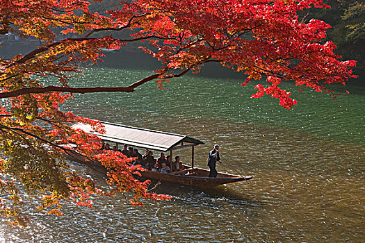 游船,河,岚山,京都,日本