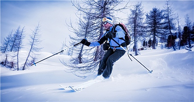 男人,滑雪,粉状雪,雪,木头