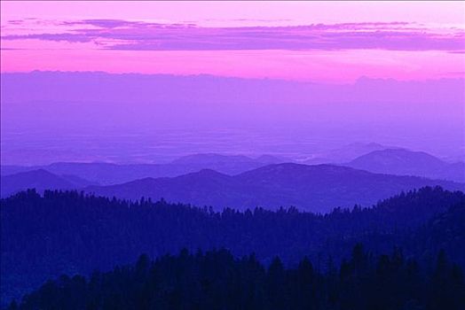 黃昏,红杉国家公园,加利福尼亚,美国