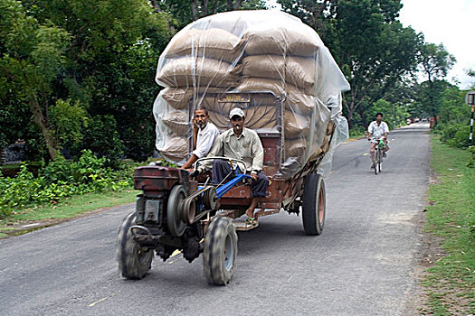 农民,丰收,市场,孟加拉,六月,2008年