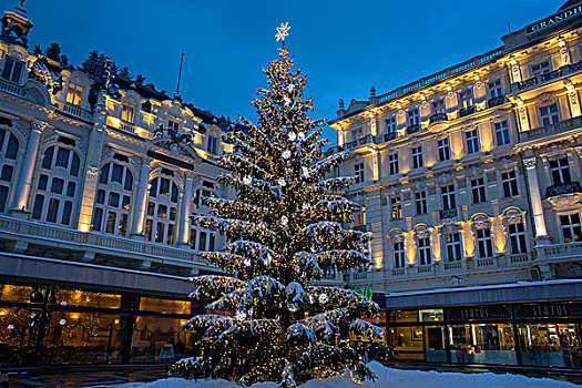 圣诞树,正面,酒店,卡罗维瓦里,区域,波希米亚,捷克共和国,欧洲