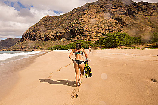 后视图,女人,穿,比基尼,走,海滩,瓦胡岛,夏威夷,美国