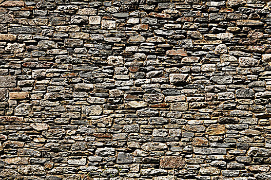 自然,石头,墙壁,德文郡,英格兰,英国,欧洲