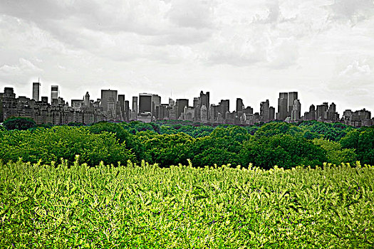 工厂,中央公园,曼哈顿,天际线,背景,纽约,美国
