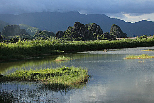 阳江,阳春市