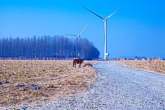 马和远处的风力发电车