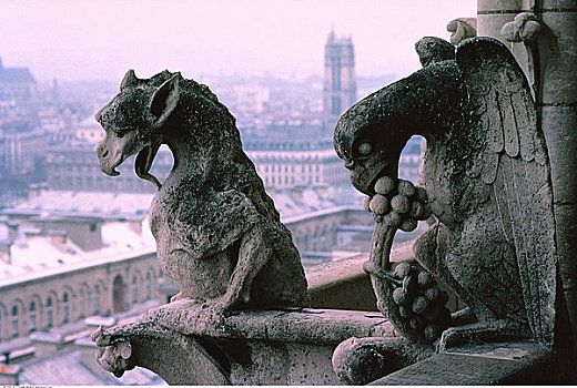 滴水兽,圣母大教堂,巴黎,法国