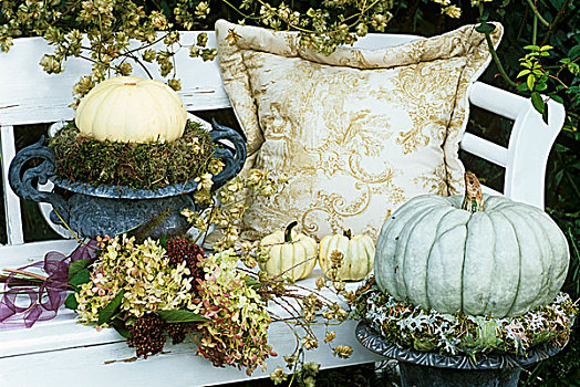 花园,座椅,秋天装饰,八仙花属