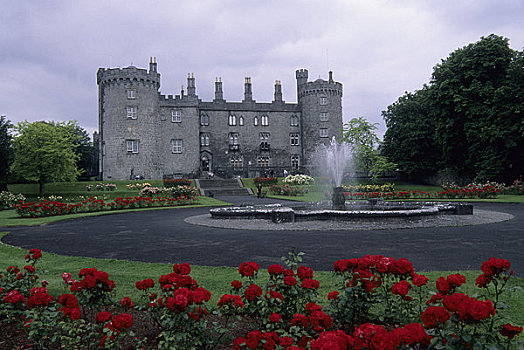 爱尔兰,基尔肯尼,城堡,红玫瑰