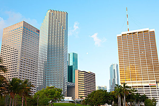 市区,建筑,迈阿密,佛罗里达,美国