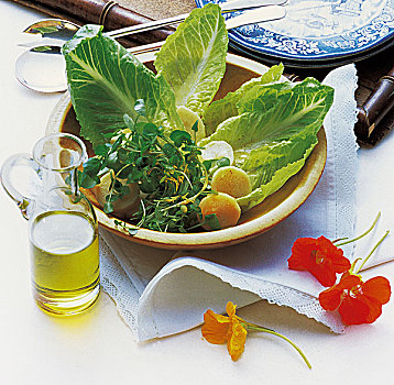 豆瓣菜,沙拉,欧防风根,英国,烹饪