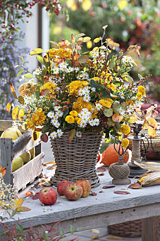 乡村,秋季花束,篮子,花瓶