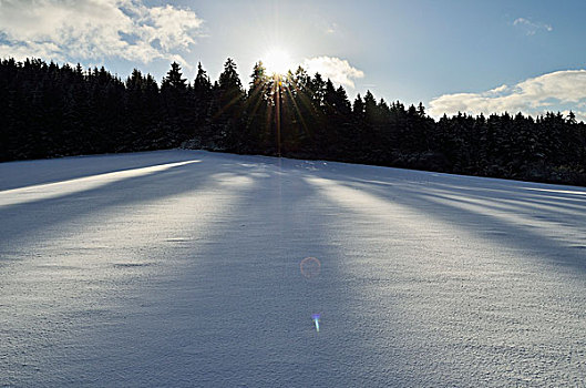 冬天,风景,靠近,黑森林,巴登符腾堡,德国