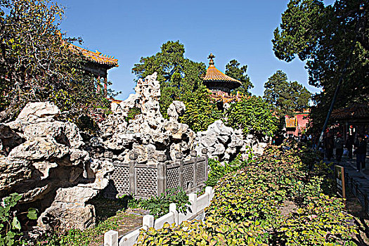 皇家,花园,故宫,北京,中国