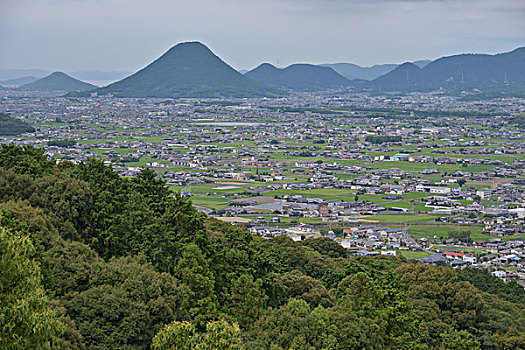 斑点,日本