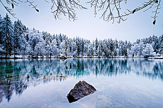 德国,巴伐利亚,阿尔卑斯山,湖,冬天,寒冷,蓝色,木头,雪,冰,霜,冷杉,石头,风景