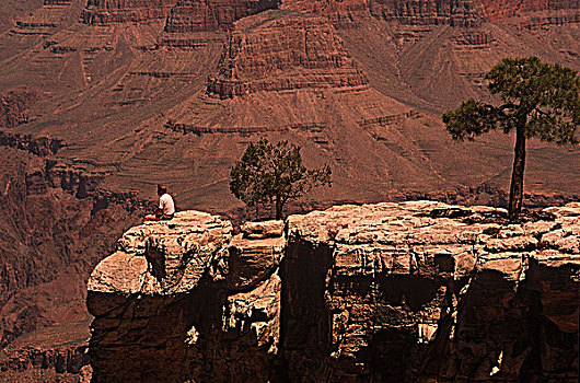 美国,大峡谷,孤单,男性,游人,坐,石头,石台