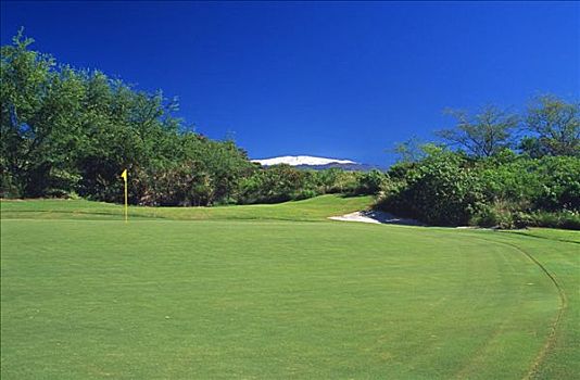 夏威夷,夏威夷大岛,柯哈拉海岸,哈普纳高尔夫球场,绿色